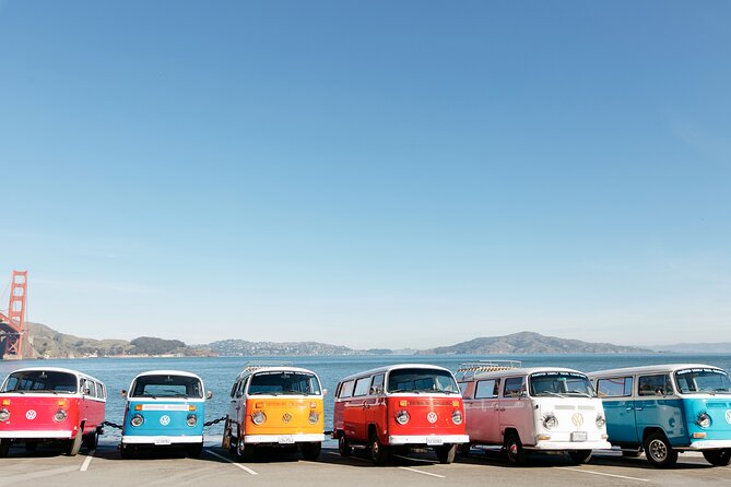 Painted Ladies San Francisco City Tour - Price and Value: Is $82 Worth Two Hours?