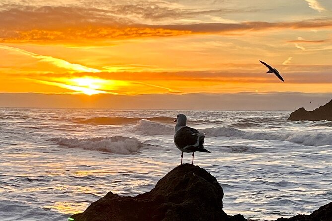 Picture your best SF tour ever! (Epic Bay Area photo adventures) - A San Francisco Day That Feels Like Your Own Best Day