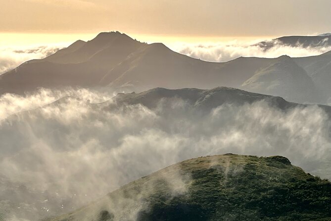Picture your best SF tour ever! (Epic Bay Area photo adventures) - Ring Mountain and Lands End, When Coast Air Meets Redwood Cool