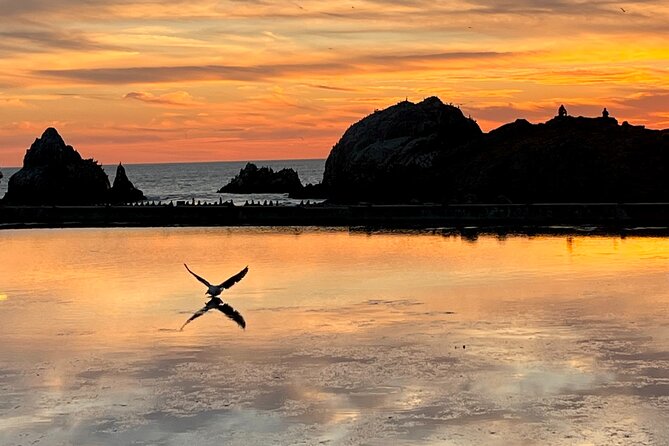 Picture your best SF tour ever! (Epic Bay Area photo adventures) - Twin Peaks and Point Bonita Lighthouse, Where Timing Turns Into Magic