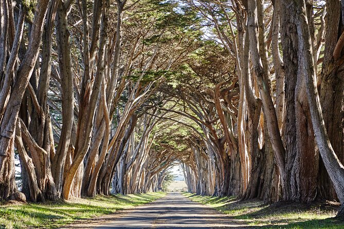 Point Reyes National Seashore Self Guided Driving Audio Tour - Entering Point Reyes by audio, from Bear Valley to the lighthouse