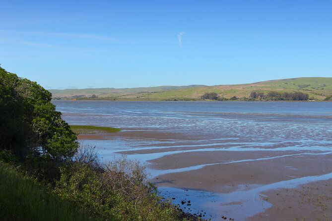 Point Reyes National Seashore Self Guided Driving Audio Tour - Chimney Rock, lifeboat lifesaving history, and the elephant seal overlook