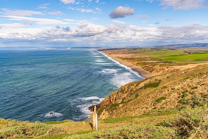 Point Reyes National Seashore Self Guided Driving Audio Tour - Sea Lion Overlook and the lighthouse finale, with real spotting tips