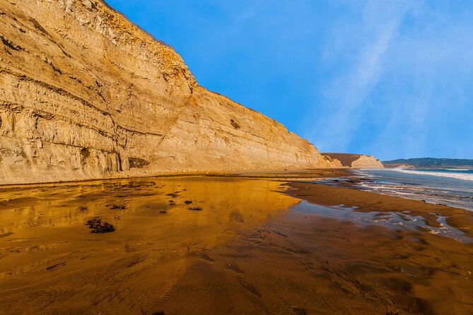 Point Reyes National Seashore Self Guided Driving Audio Tour - Timing tips and how to keep the day from feeling rushed