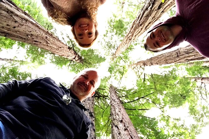 Private Full-Day San Francisco City Tour with Muir Woods (Max 6) - Key Reasons This Jeep Day Works So Well