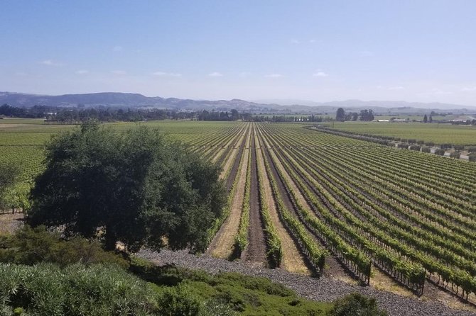 Private Group Wine Tour of Napa and Sonoma - Luxury SUV comfort, especially when your group is large