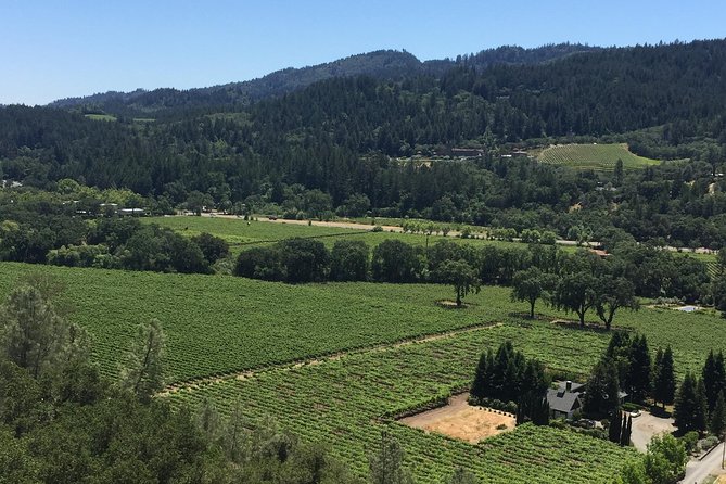 Private Group Wine Tour of Napa and Sonoma - Sonoma: Viansa or Jacuzzi first, then Homewood with David