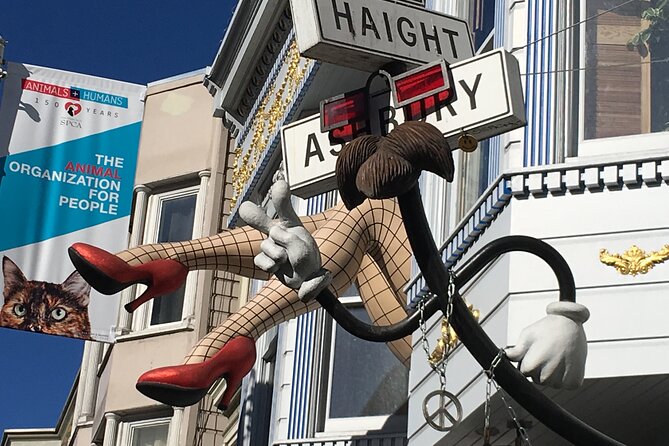 Private Guided Tour in San Francisco - Painted Ladies Without the Chaos, With Time for Photos