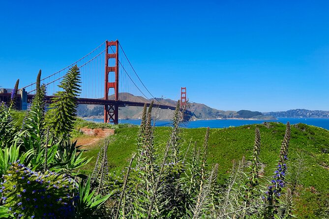 Private Guided Tour in San Francisco - Golden Gate Park, a Local Favorite That Changes the Pace