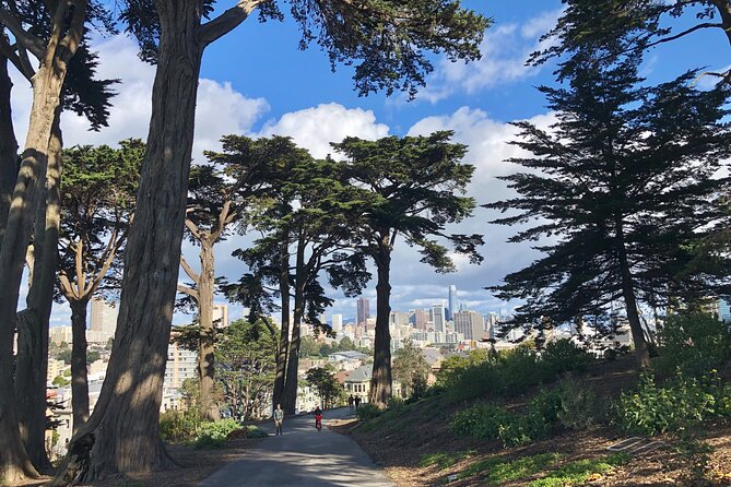 Private Guided Tour in San Francisco - Price and Logistics: What You Really Pay For
