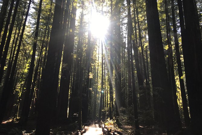 Private Muir Woods and Sausalito Half Day Tour - Sausalito waterfront views and an easy coastal reset