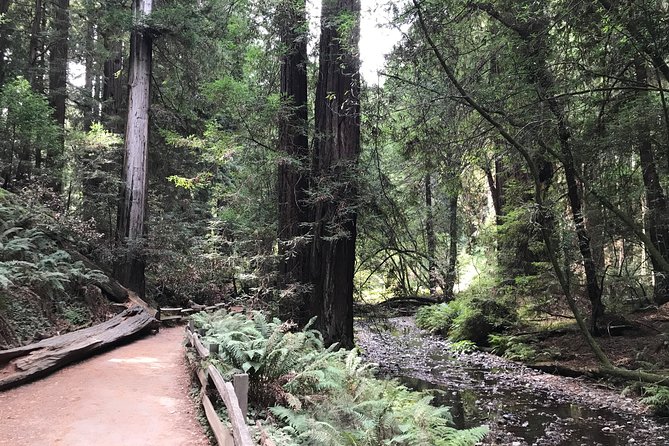 Private Muir Woods and Sausalito Half Day Tour - The logistics that matter on a real half day