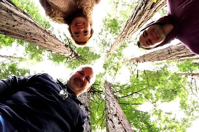 Private Muir Woods Tour + Golden Gate Bridge Stops (3 Hrs, Max 6) - Muir Woods National Monument: Self-Guided Redwoods, Short and Sweet