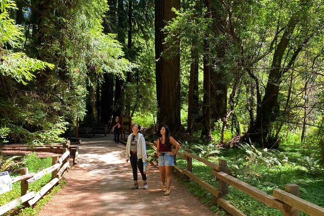 Private Muir Woods Tour + Golden Gate Bridge Stops (3 Hrs, Max 6) - Muir Beach Overlook and Marin Headlands, Timing-Based Photo Payoffs