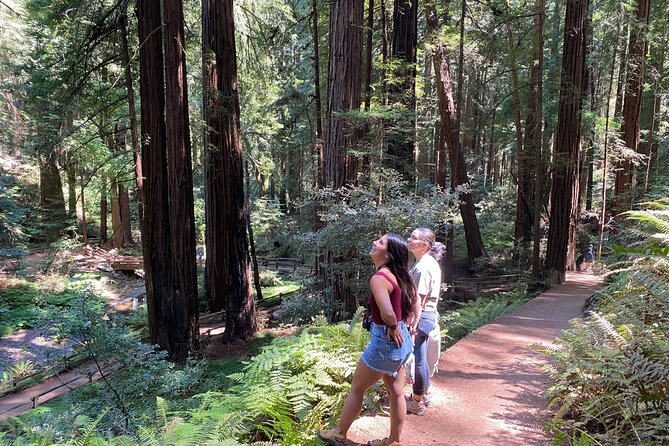 Private Muir Woods Tour + Golden Gate Bridge Stops (3 Hrs, Max 6) - Guides That Make the Tight Schedule Feel Easy
