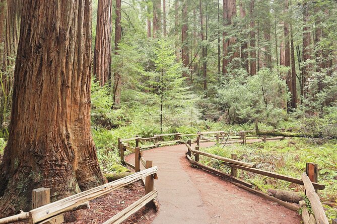 Private San Francisco City Tour and Muir Woods with Sausalito - Price and Value: What $390 Really Buys
