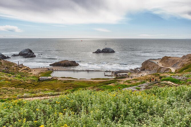 Private San Francisco City Tour and Muir Woods with Sausalito - The Guide and the Pace: Why “Private” Matters Here