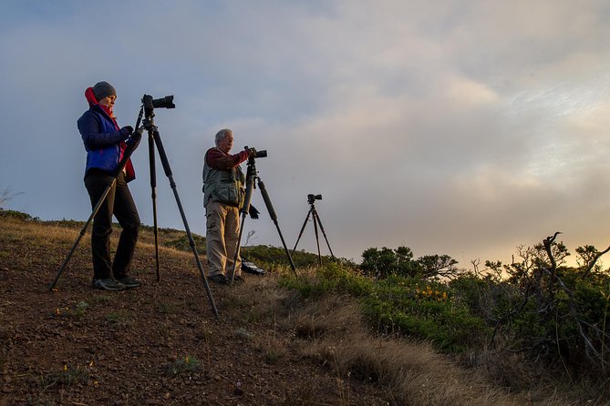 Private San Francisco Sunset Photography Experience - A private sunset photo session that feels like SF, not a production line