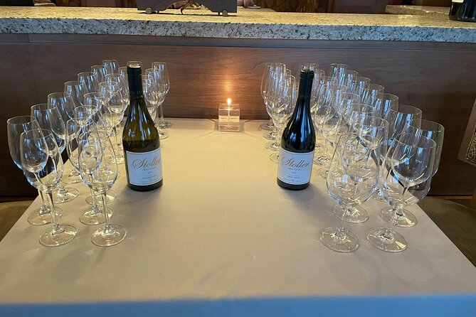 Private Sommelier-led Sonoma or Napa Wine Country Tour in VW Van - Three intimate tastings with a certified sommelier who talks like a person