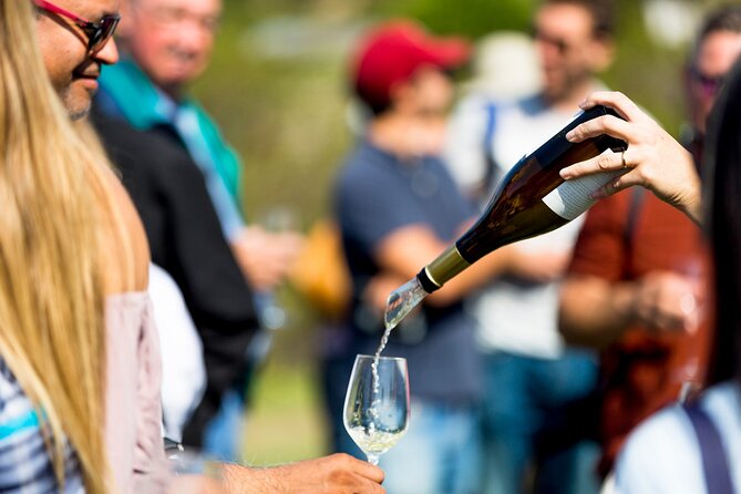 Private Tour: Napa and Sonoma Wine Country - Your First Winery Stop in Sonoma: Tastings and a Guided Walk