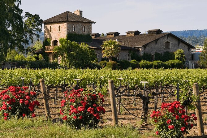 Private Tour: Napa and Sonoma Wine Country - Carneros, Madonna Estate: Organic Wine and Natural Farming Talk