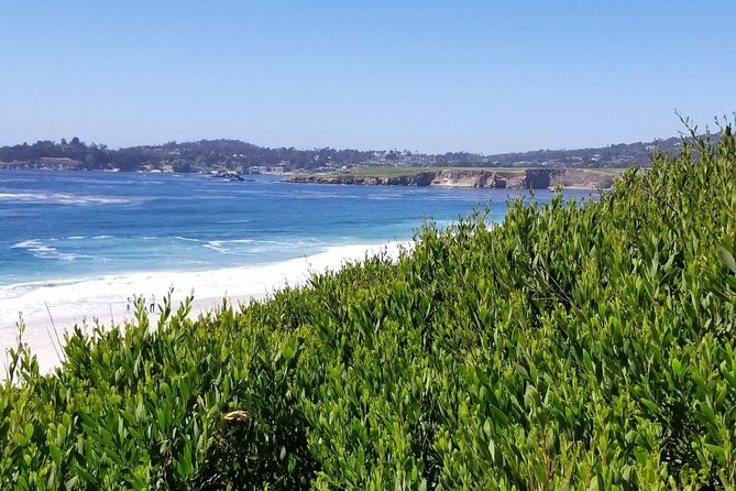 Private Tour to Monterey, Carmel, 17-Mile Drive, Pebble Beach - Highway 17 and Highway 1 views, where the road becomes part of the show