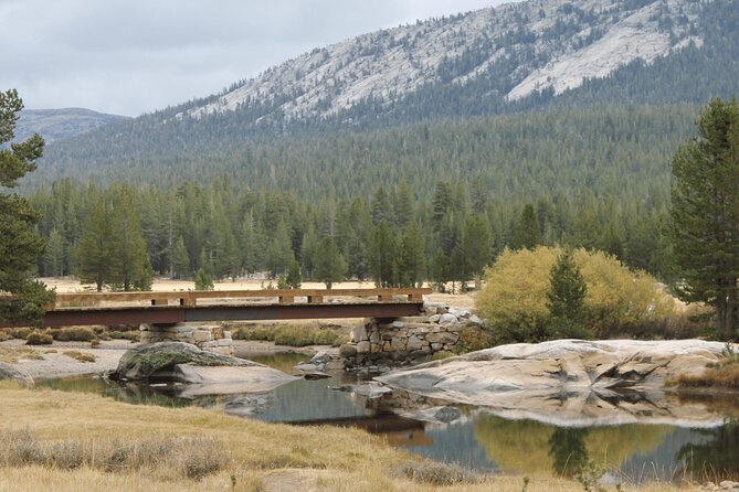 Private Yosemite National Park Day Trip from San Francisco - Want More Than Valley Only? Sequoias, El Ansel Adams, and Climber Views