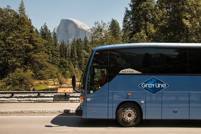 Private Yosemite National Park Day Trip from San Francisco - What the Central Valley Stop and Picnic Lunch Reality Means