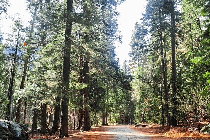 Private Yosemite National Park Day Trip from San Francisco - Price and Value: Is $685 a Fair Deal?