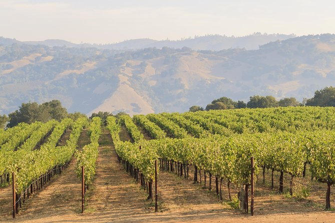 Russian River Weekend Wine Tasting & Gourmet Lunch - Kendall-Jackson Estate & Gardens: the included 4-course lunch that anchors the day