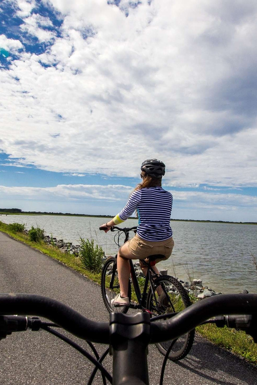 San Francisco: 1 Day Self Guided Bike Rental - Key highlights you can use right away