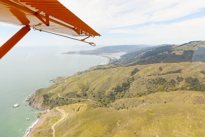 San Francisco 1-Hour Seaplane Tour - Key Points You Will Care About