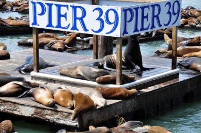 San Francisco - 7D Ride Experience at PIER 39 - Quick Takeaways Before You Go