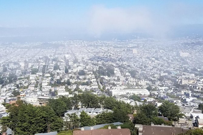 San Francisco Afternoon City Tour Small-Group Half-Day - Sutro Heights Park: Pacific Ocean views without the full day commitment