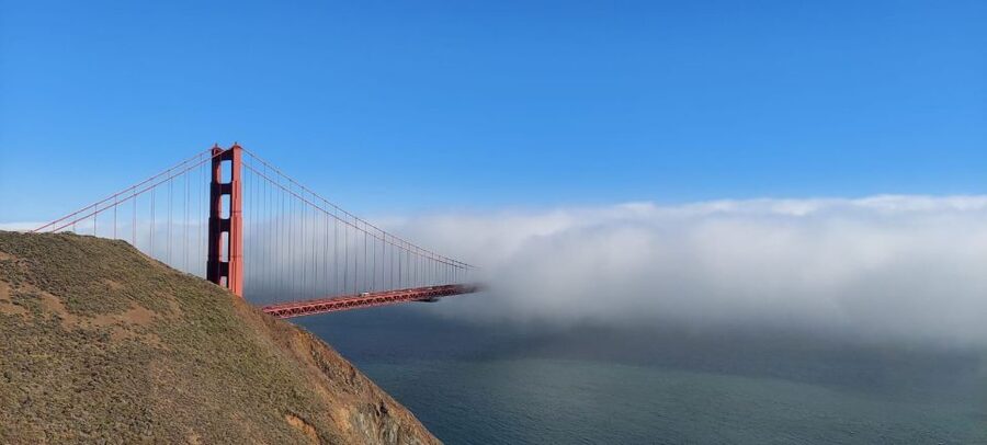 San Francisco: Alcatraz Tour with Muir Woods and Sausalito - Sausalito in one hour: waterfront views, houseboats, and quick lunch choices