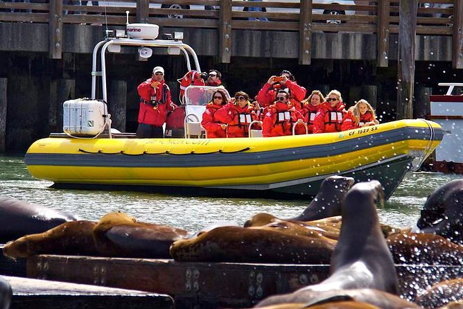 San Francisco Bay Adventure Sightseeing Cruise - Coit Tower from the water: panoramic energy, short and sweet