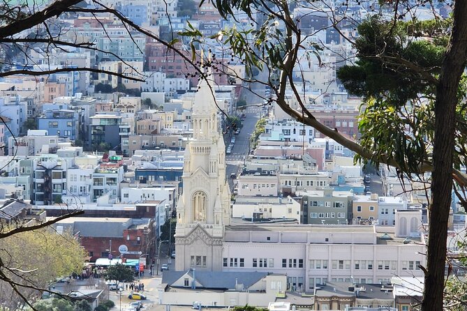 San Francisco Bay Cruise and City Combo Tour - Painted Ladies at Alamo Square, then the Wharf for lunch and bay access