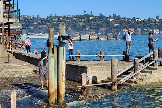 San Francisco Bay Cruise, Muir Woods and Sausalito Combo Tour - From pickup to redwoods: how the morning sets you up