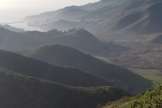 San Francisco Bay Cruise, Muir Woods and Sausalito Combo Tour - Price and value: why $134 can feel fair here