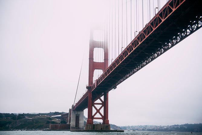 San Francisco Bay Sailing Cruise - Wildlife spotting on the bay: pelicans, sea lions, dolphins, and more