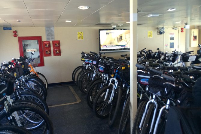 San Francisco Bike Rental For the Golden Gate Bridge - Electric bikes vs. standard bikes: what rides best for you