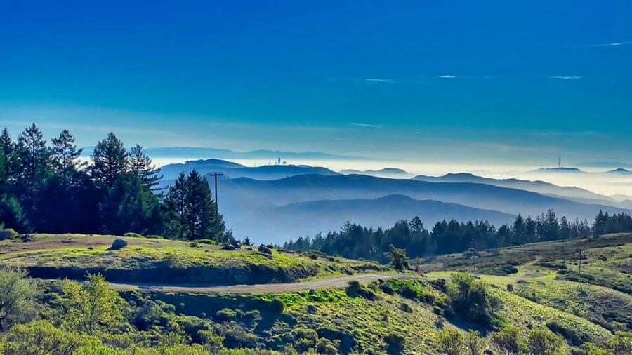 San Francisco: Bike Tour with Muir Woods and Sausalito Visit - Price and value: what you are really paying for at $209