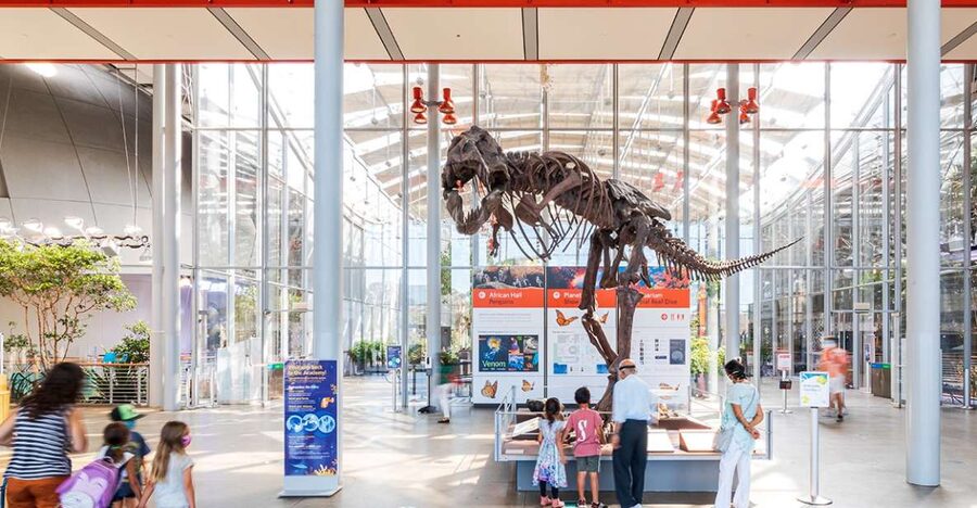 San Francisco: California Academy of Sciences Entry Ticket - Key Things I’d Prioritize