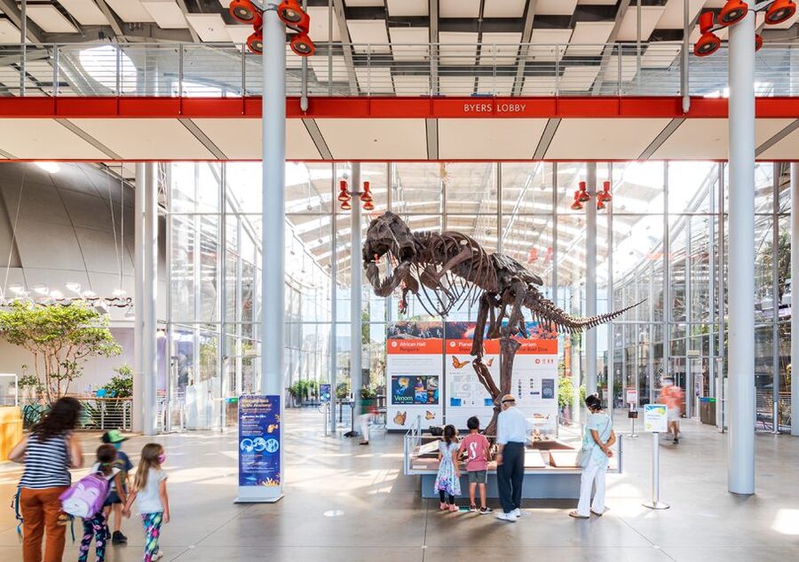 San Francisco: California Academy of Sciences Entry Ticket - Morrison Planetarium: The 75-Foot Show and How Not to Miss It