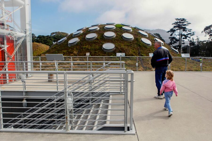 San Francisco: California Academy of Sciences Entry Ticket - Rooftop Living Roof and Wander Woods: Nature After You Think You’re Done