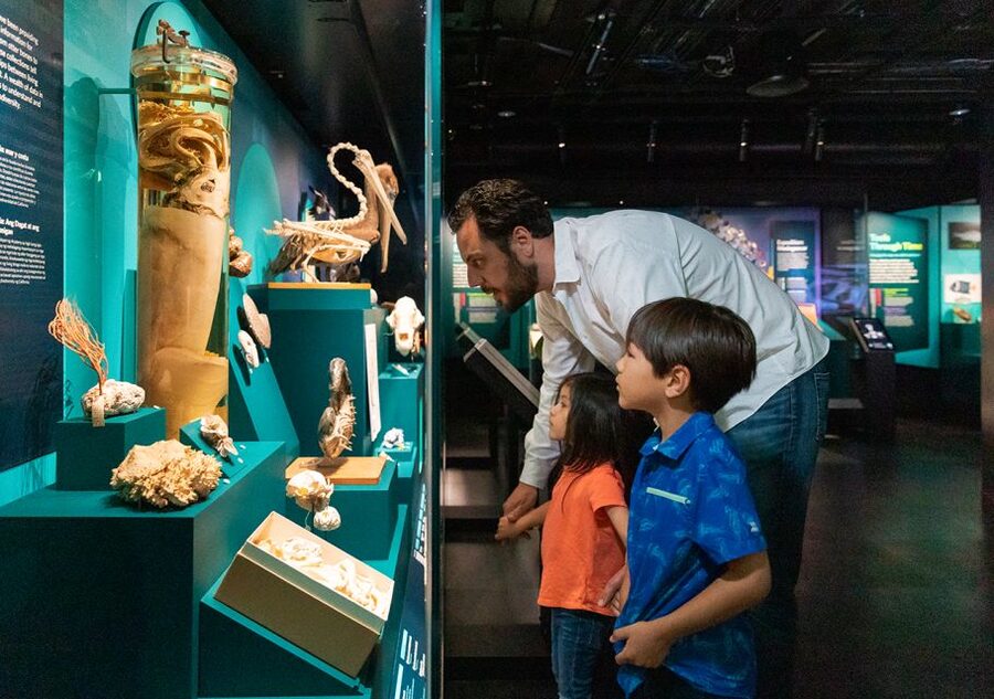 San Francisco: California Academy of Sciences Entry Ticket - Tiny Chef, Big Impact: The New Planetarium Film and Mini-Exhibit (Dec 13 to Spring 2026)