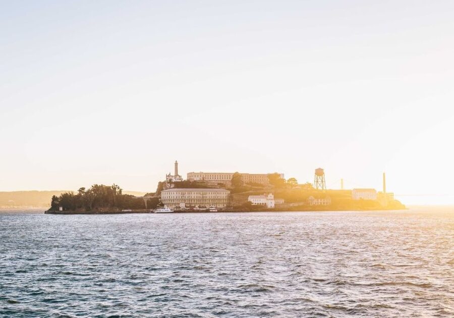 San Francisco: Christmas Day Buffet Brunch or Dinner Cruise - Key Things I’d Highlight Before You Go