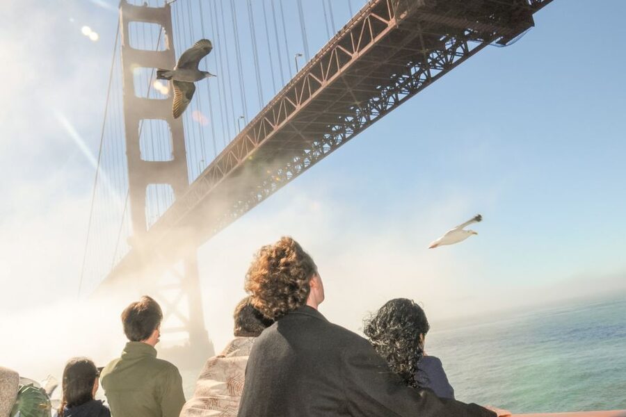 San Francisco: City Cruises Buffet Lunch or Dinner Cruise - Pier 3 Boarding at Washington Street, and What to Expect First