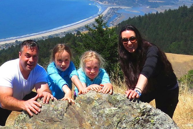 San Francisco City Half-Day Private Custom Tour - Historic Neighborhoods and Vistas, Without the Usual Vehicle Hassles