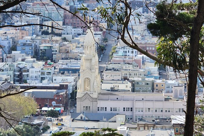 San Francisco City Small Group Morning Tour - Presidio, Marina Blvd, and the SF Stops That Feed Your Later Plans